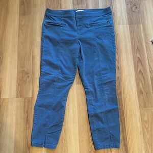 LOFT Blue Ankle Pants